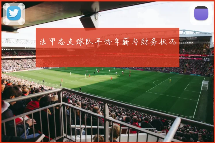 法甲各支球队平均年薪与财务状况