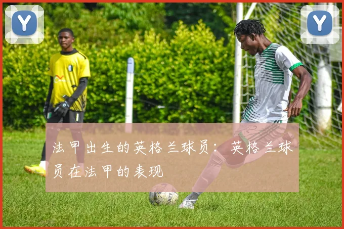 法甲出生的英格兰球员：英格兰球员在法甲的表现