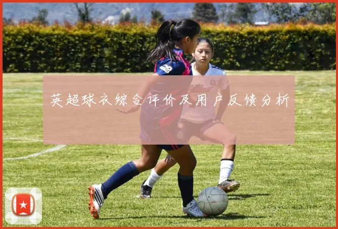 英超球衣综合评价及用户反馈分析