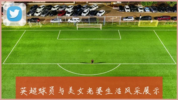 英超球员与美女老婆生活风采展示